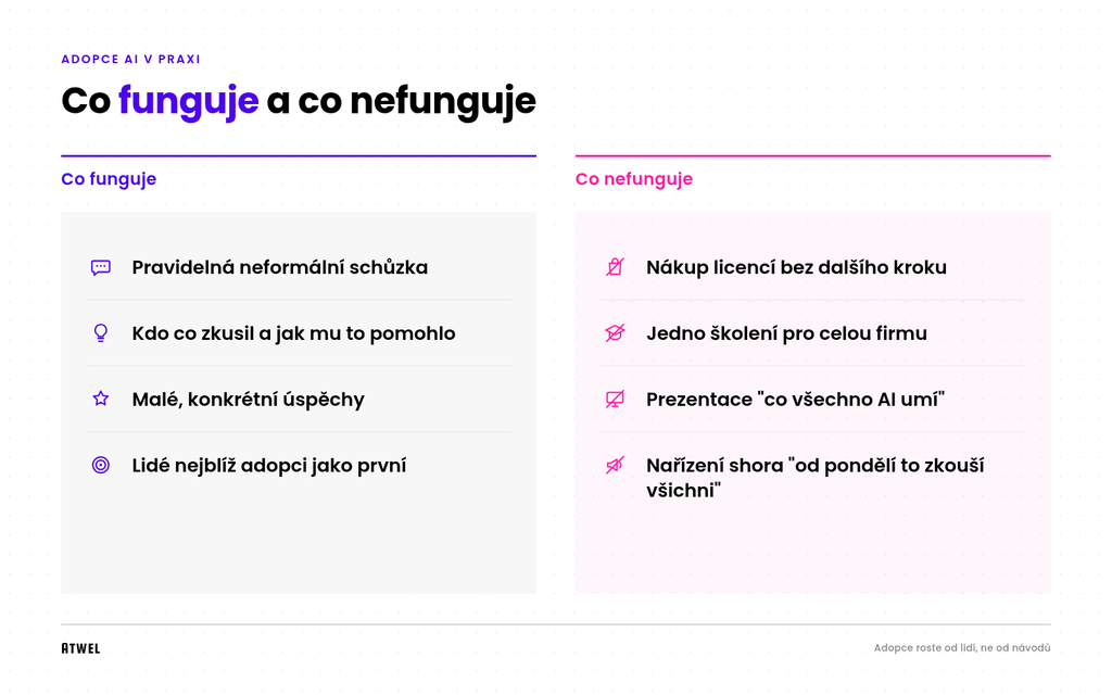 Adopce AI v praxi : Co funguje a co nefunguje